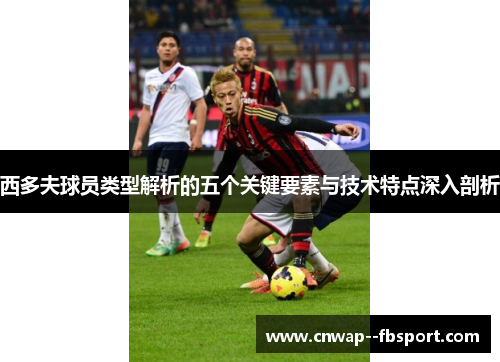 西多夫球员类型解析的五个关键要素与技术特点深入剖析