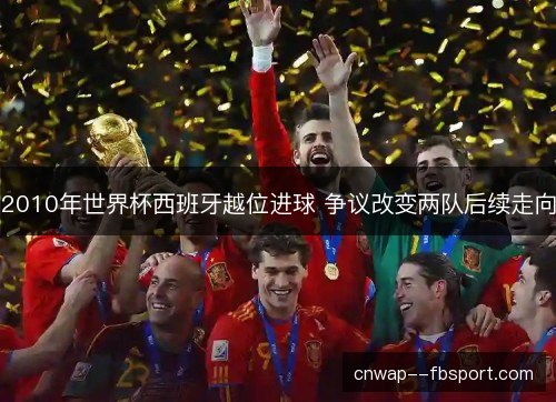 2010年世界杯西班牙越位进球 争议改变两队后续走向 2010年世界杯西班牙越位进球 争议改变两队后续走向